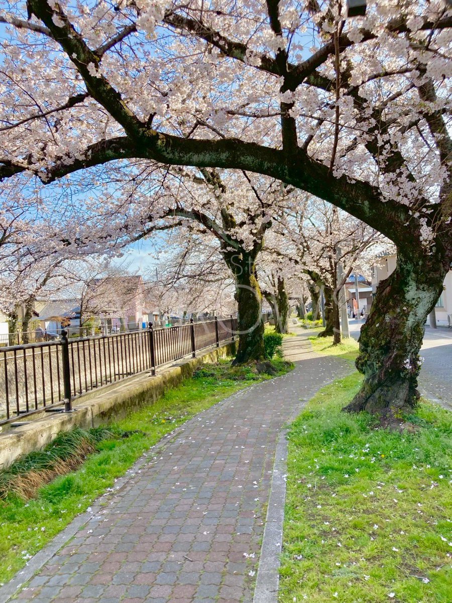 スタジオアローズ tweet media