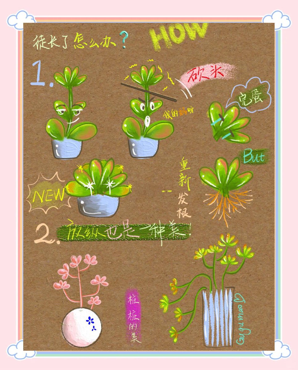 Charles Torres tweet media