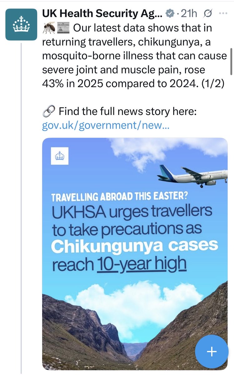 Dame Sa 🐝 3.5% tweet media