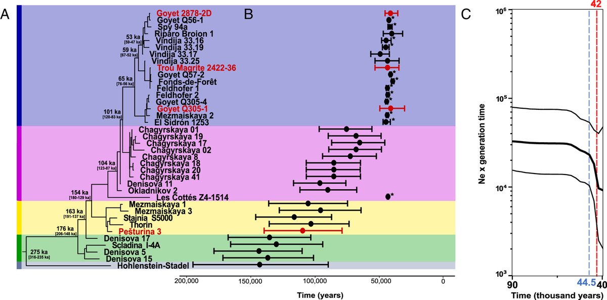 Neanderthal warfare. 65,000 years ago, a group of Neanderthals in France expands outward, replacing other Neanderthals throughout Europe. Tens of thousands of years before humans wiped out the Neanderthals, they were wiping each other out. pnas.org/doi/10.1073/pn…