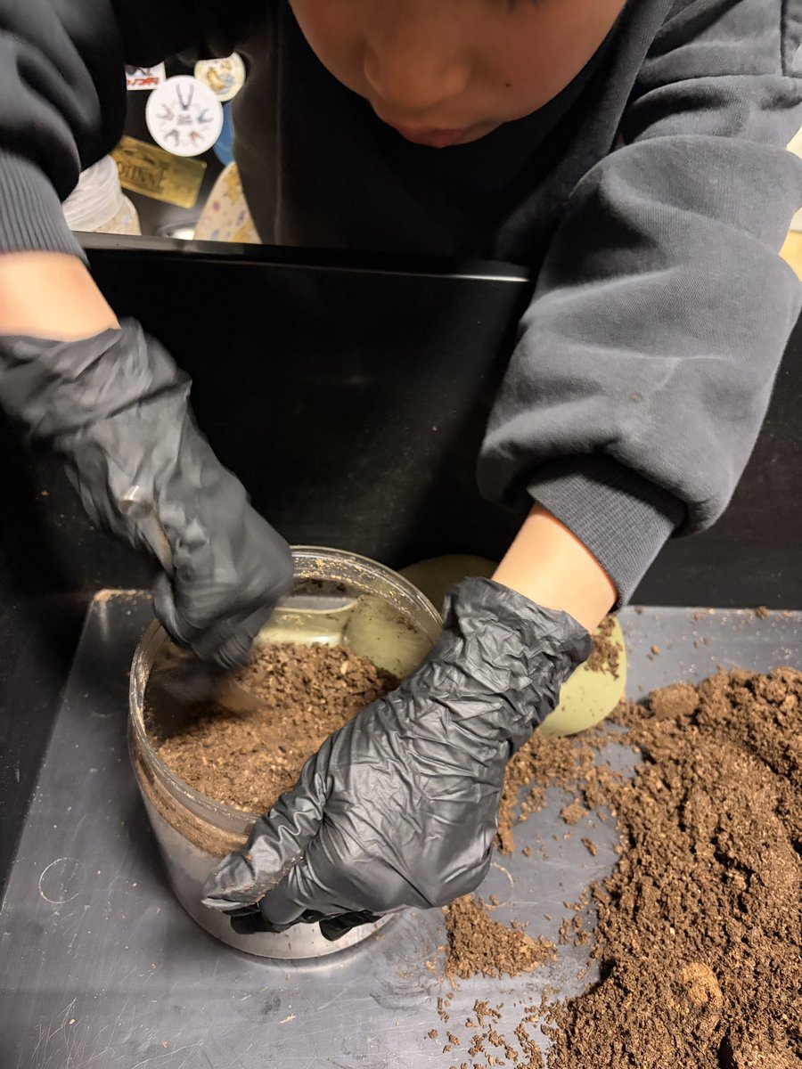 ぼくのたからばこ@クワガタから愛と命と経営を学ぶ6歳 tweet media