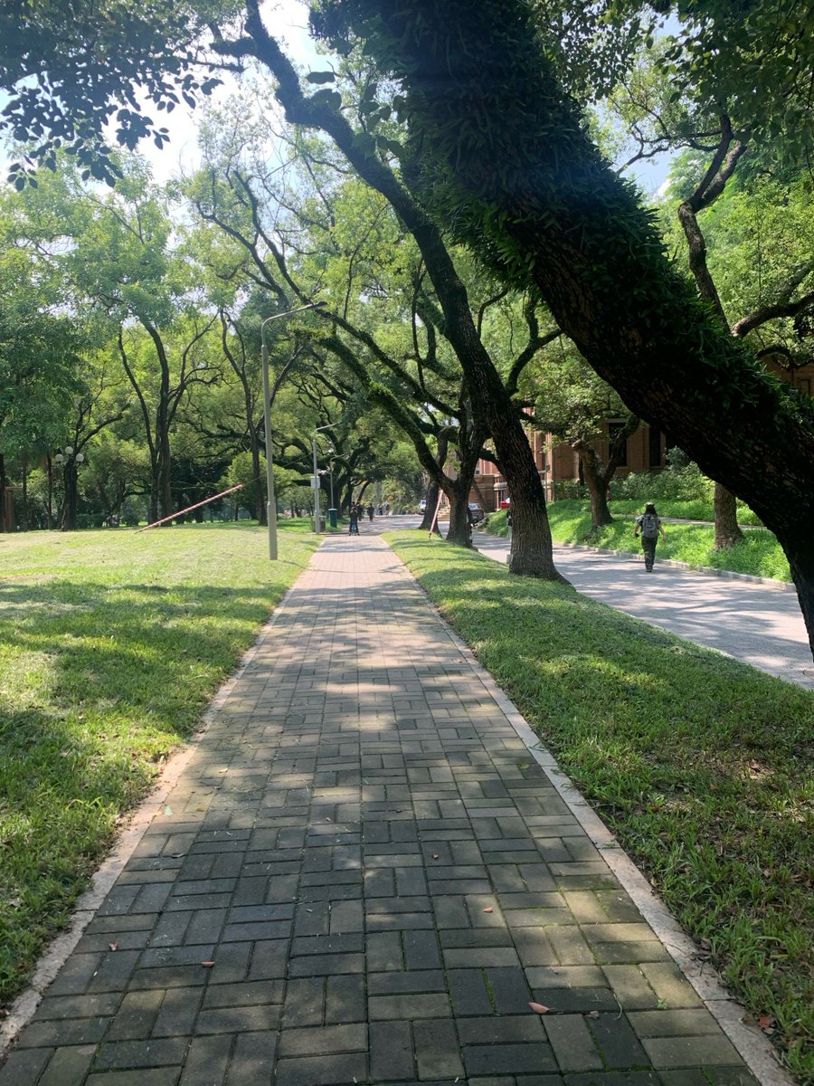 Patrick Akinbami tweet media