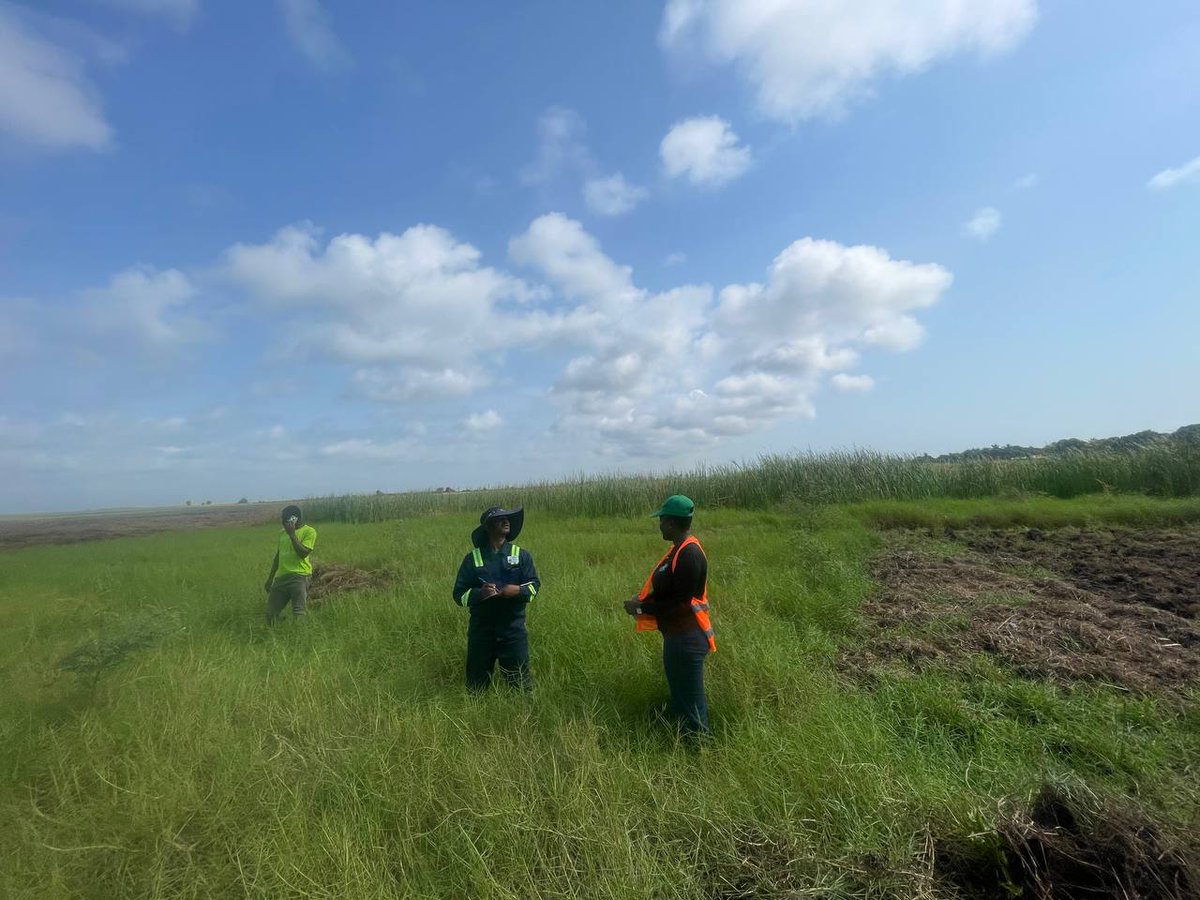 WHROGHANA tweet media