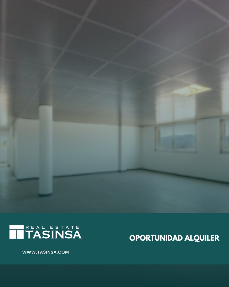 TASINSA Real Estate tweet media