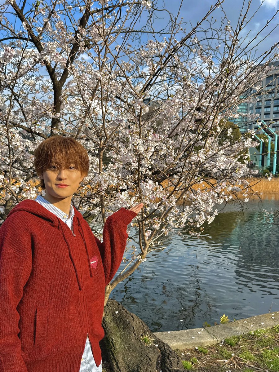 木村 一翔【クロノ★ジェネシス】 tweet media