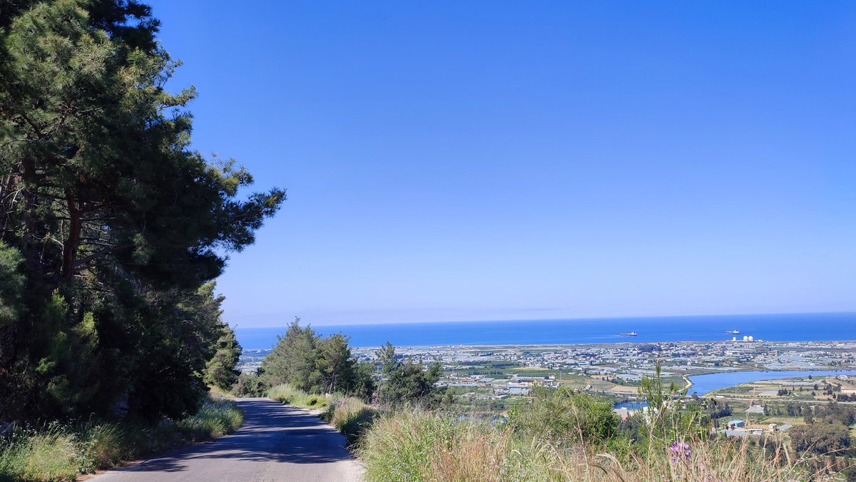 Zoalfekar🔱 tweet media