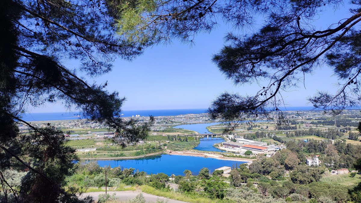 Zoalfekar🔱 tweet media