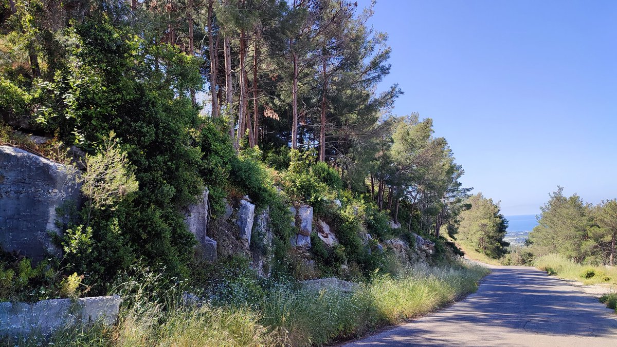 Zoalfekar🔱 tweet media