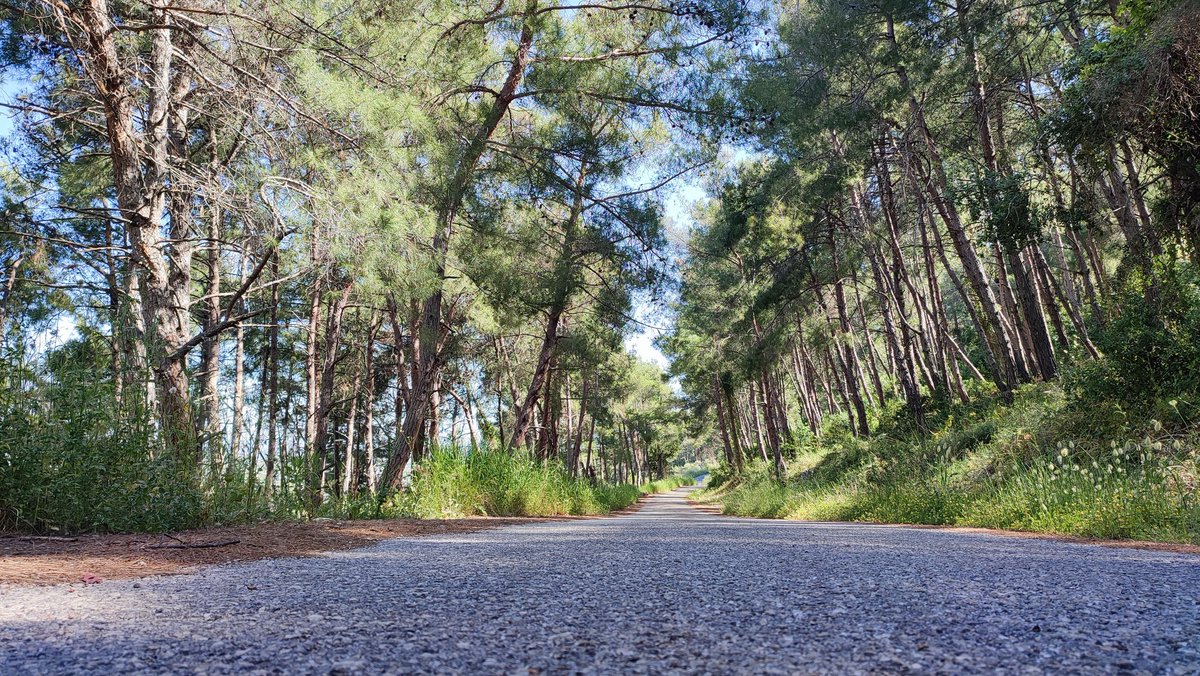 Zoalfekar🔱 tweet media