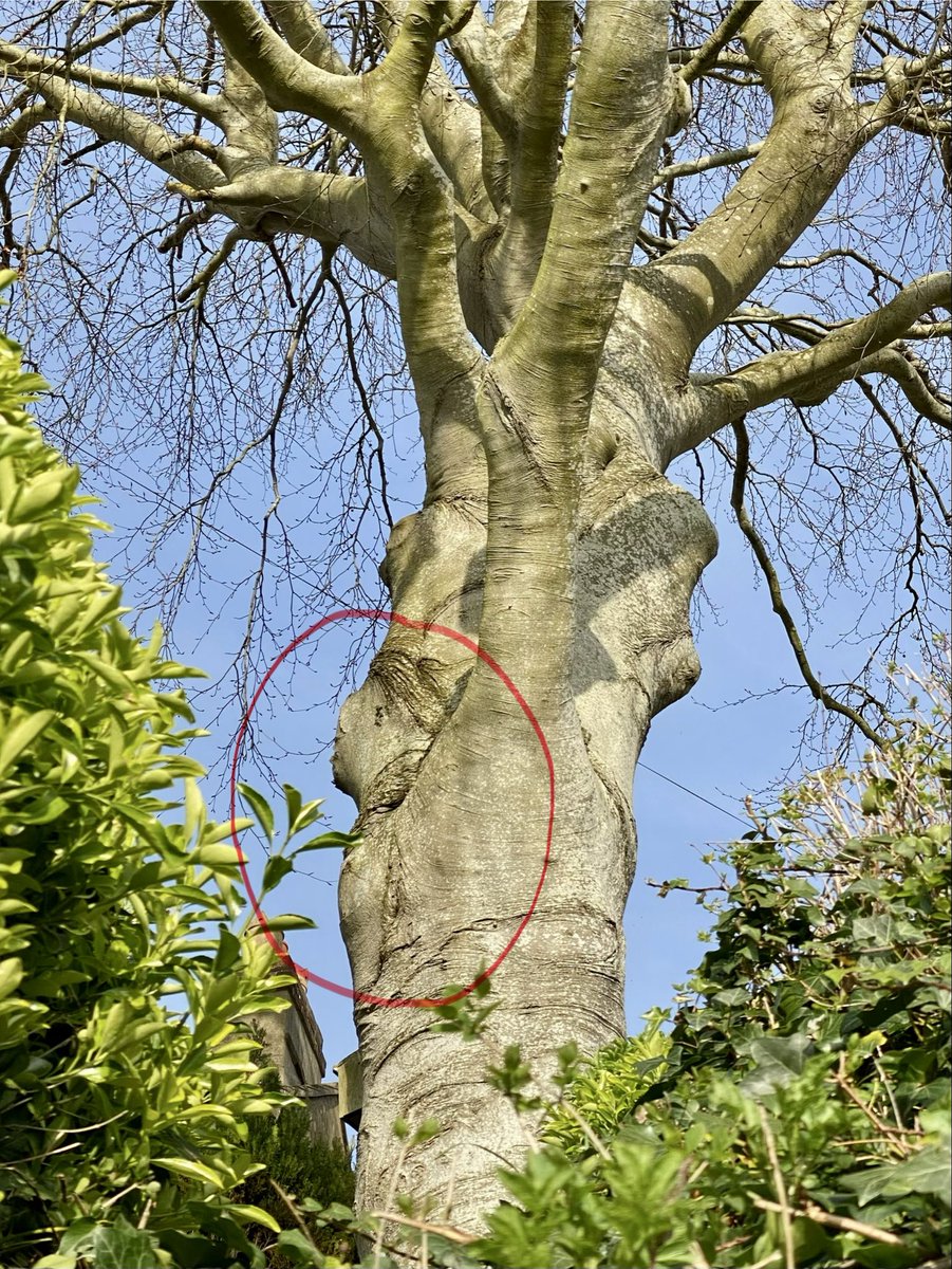 Maggie McWhirter tweet media