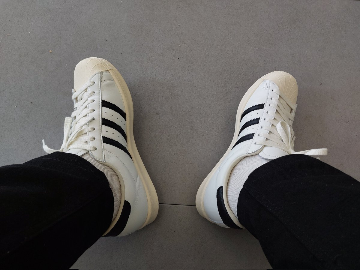 catMaimone♧ tweet media