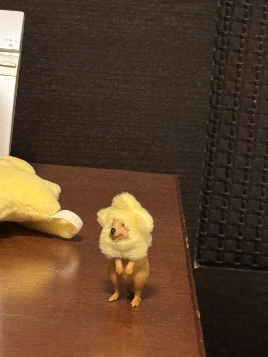 くぉ🌗🌗 tweet media