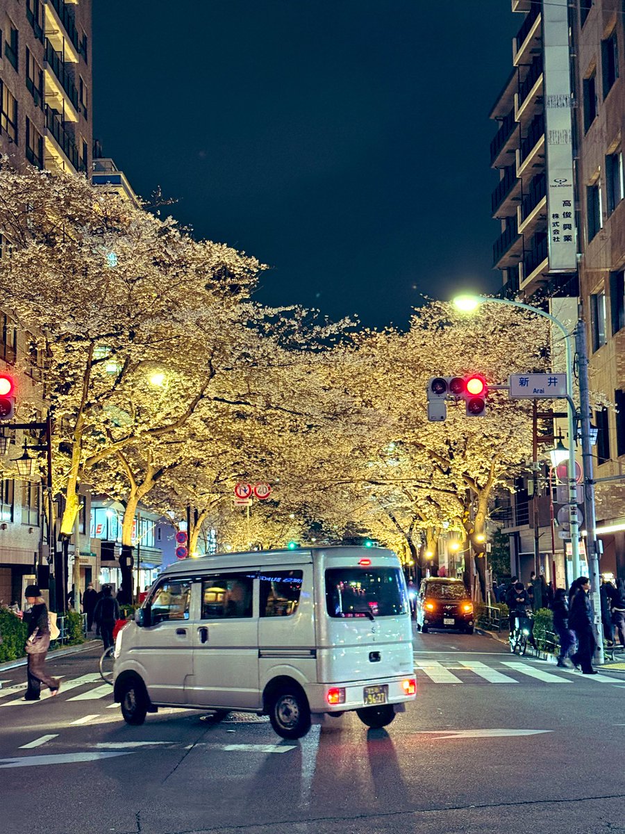 中野は夜桜もキレイです

#桜