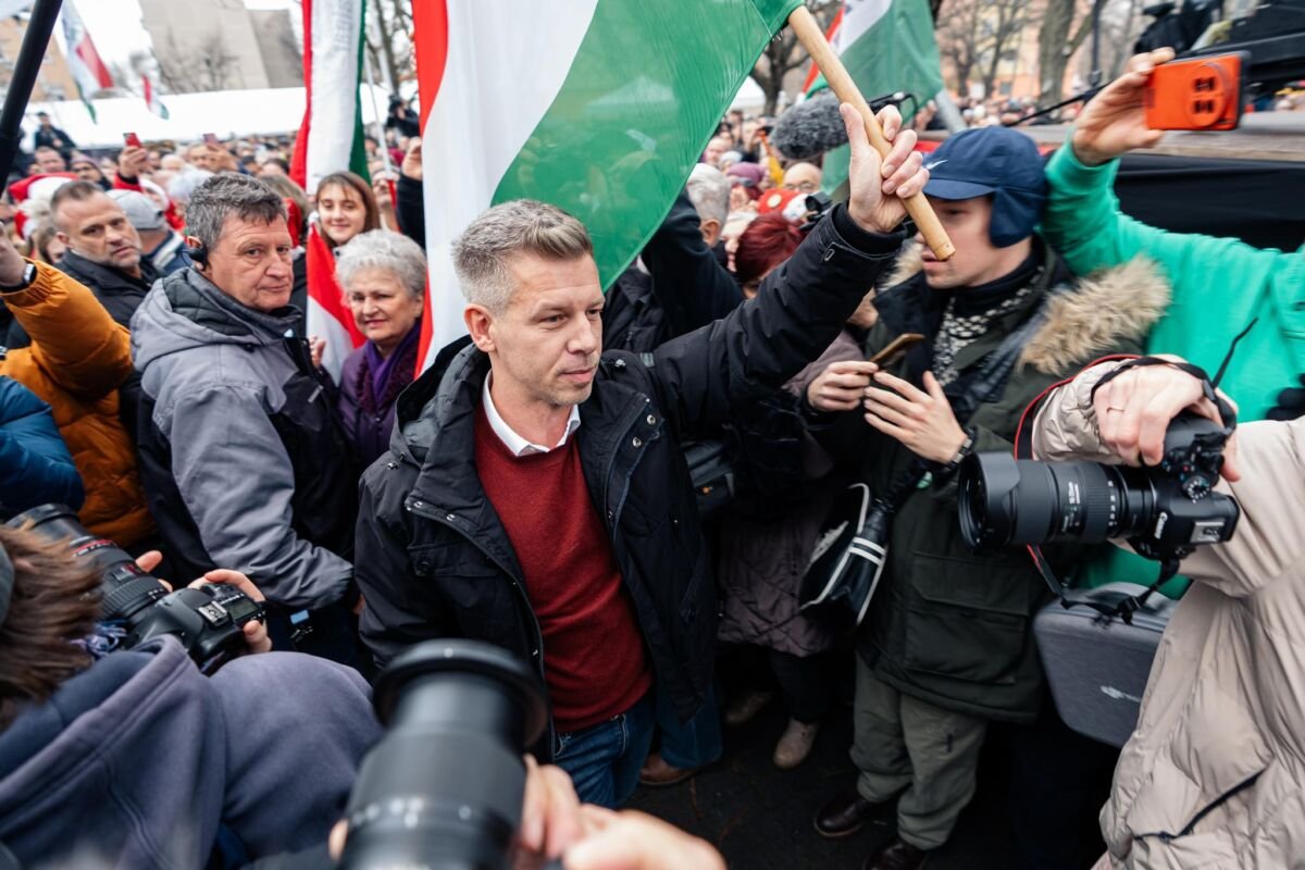 Tibor M. Kalman tweet media