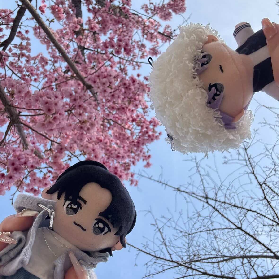 𝖠𝗈𝗂 tweet media