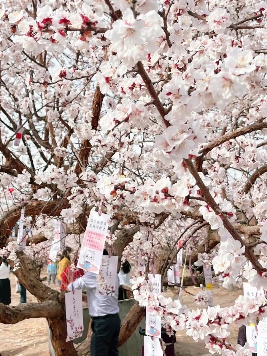 王麗です（互fo💯） tweet media