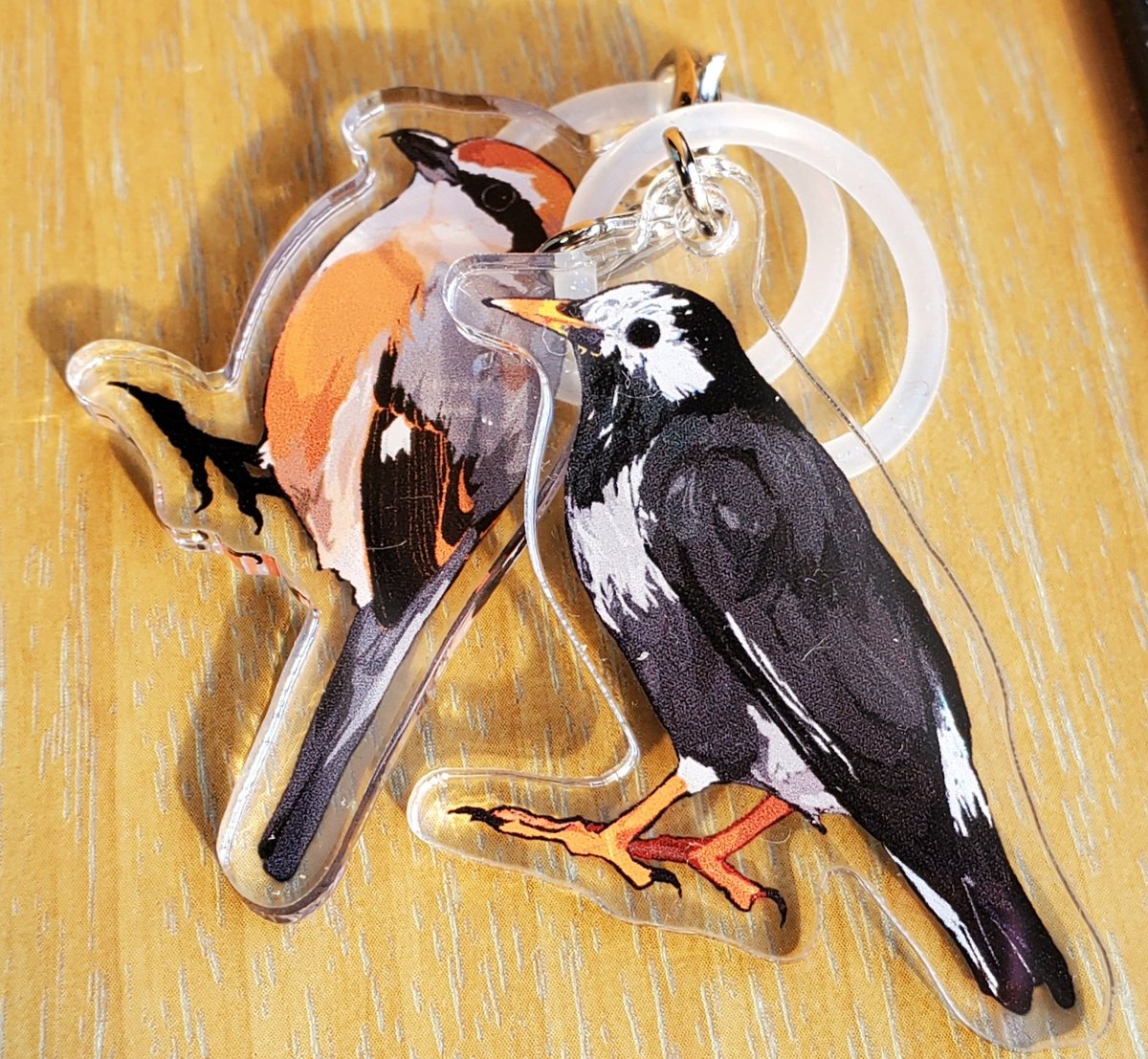 ゆきおもち tweet media