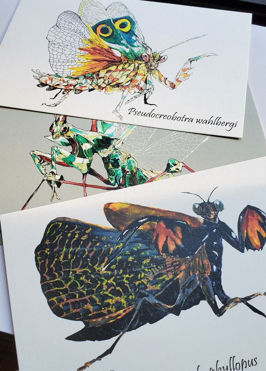 ゆきおもち tweet media