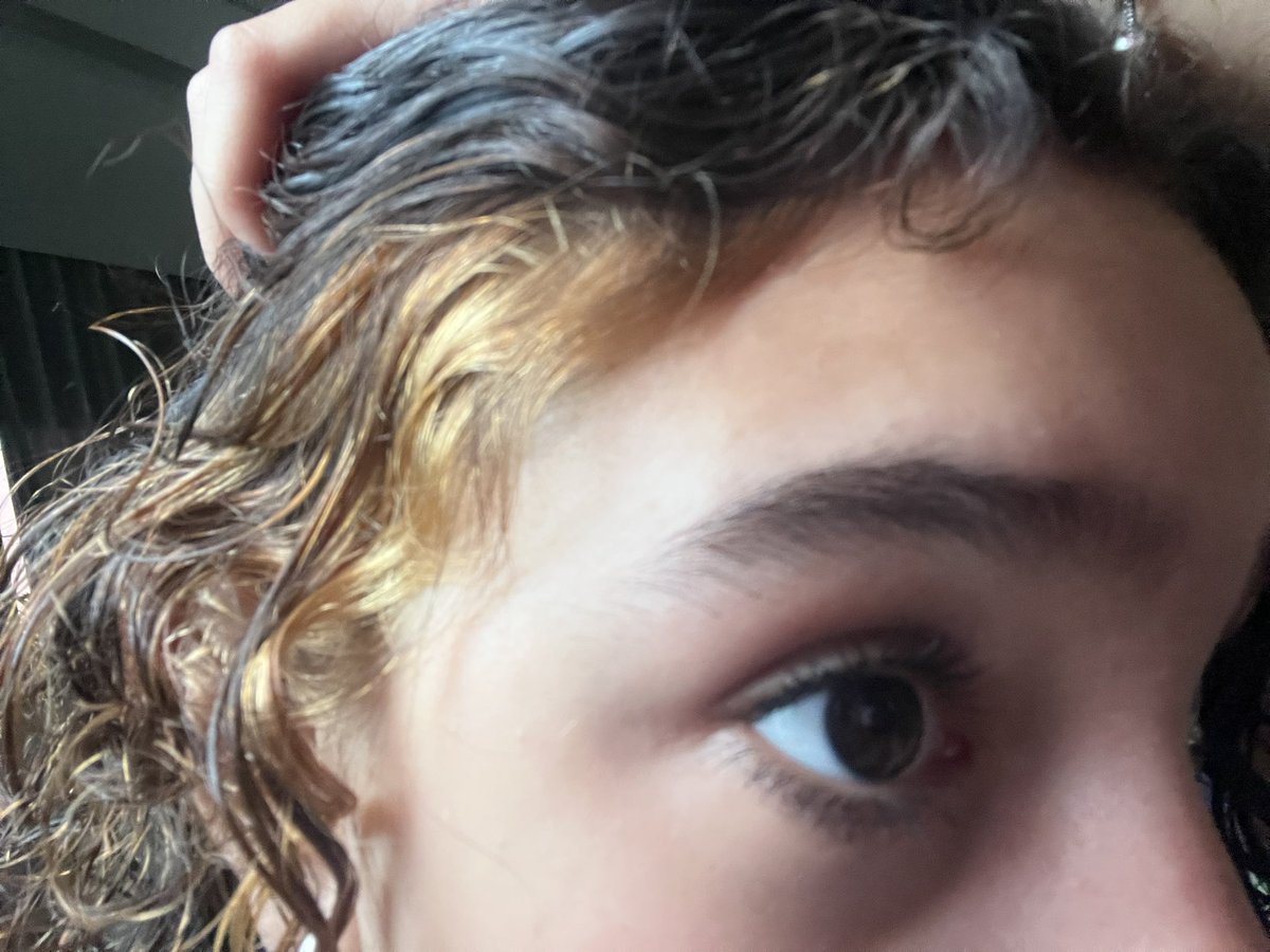 Alicapiticalopsita tweet media