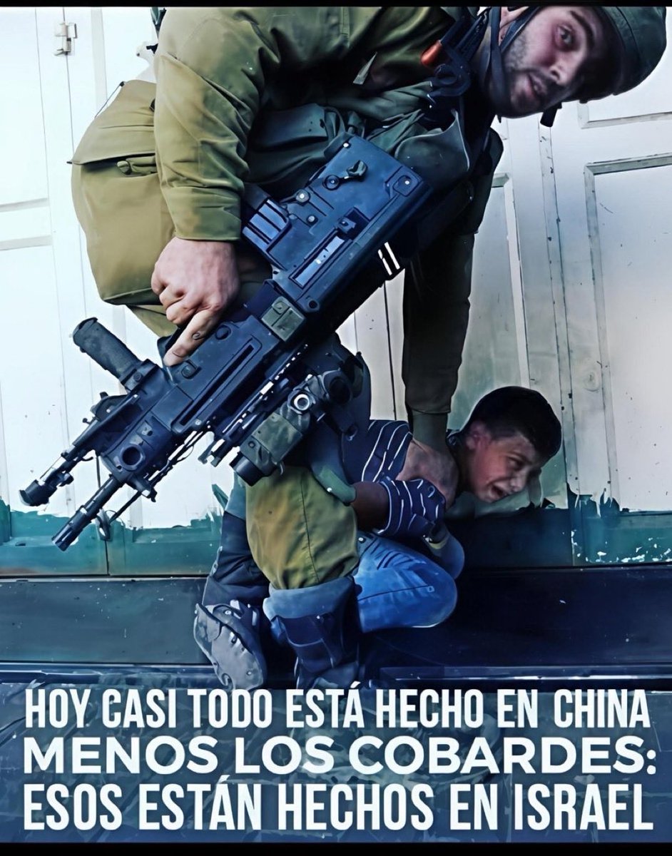 valeria nunes tweet media