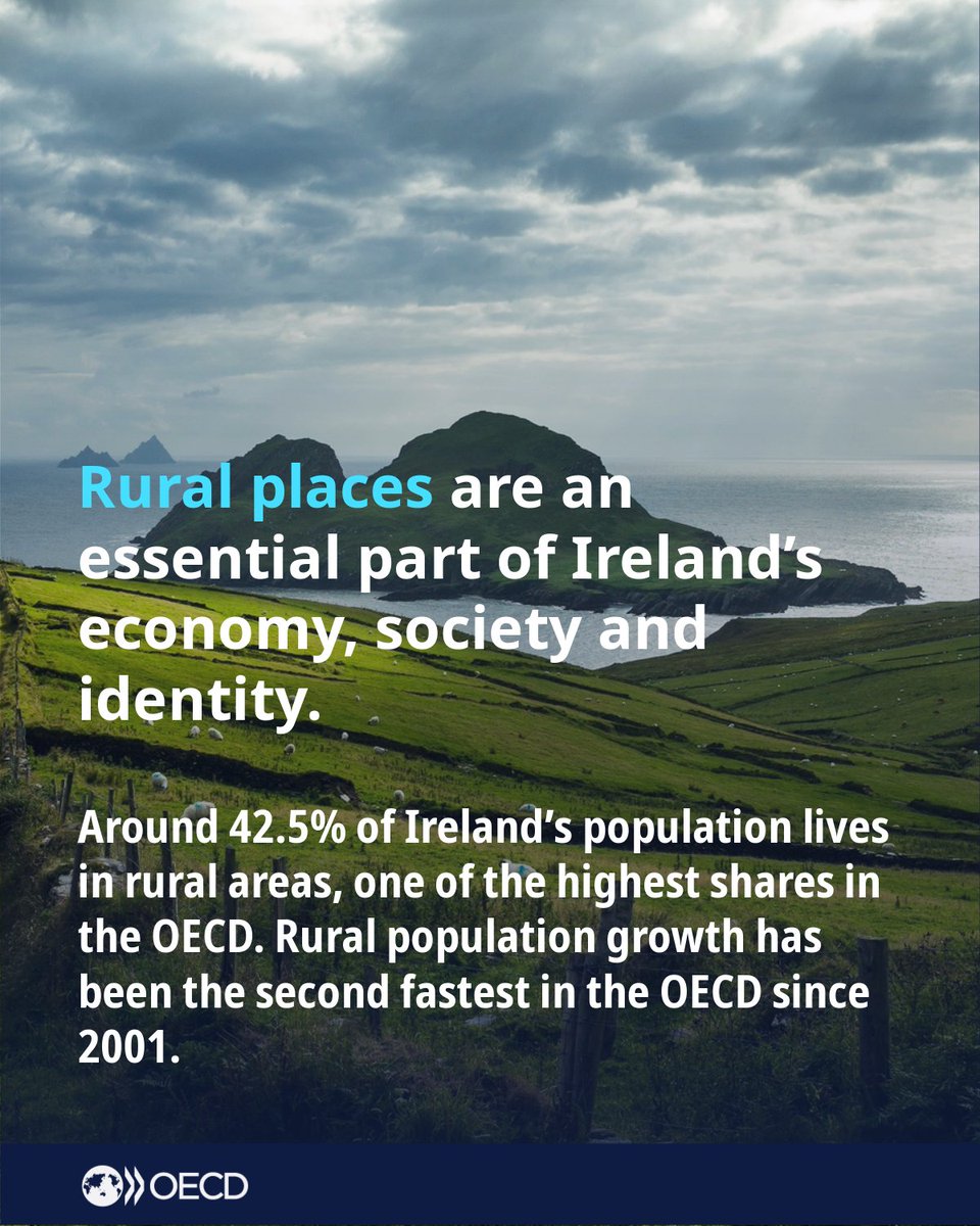 OECD SMEs, Regions, Cities & Tourism tweet media