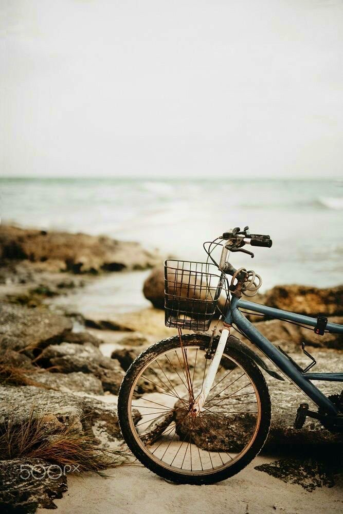 Dr Pooja Garg tweet media