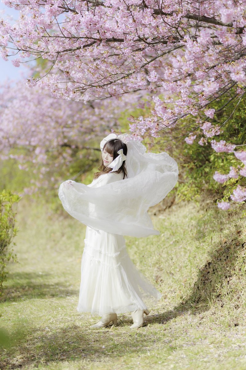 ハクシ tweet media