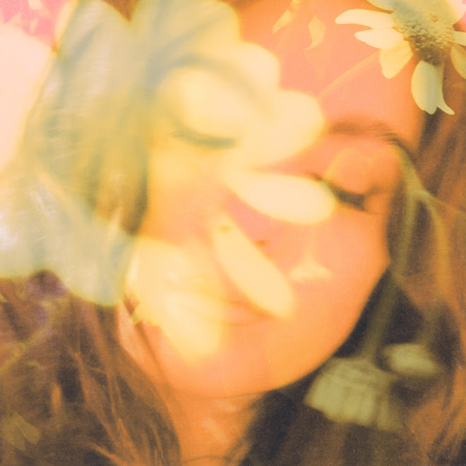 Rollo & Ritmo tweet media