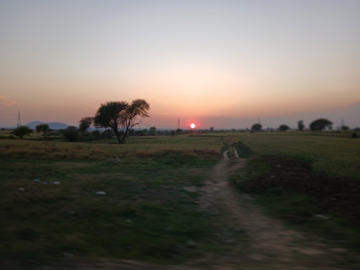 Ruthless ZQ tweet media