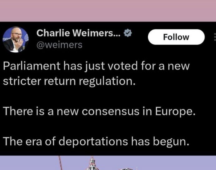 Celia Groothedde tweet media