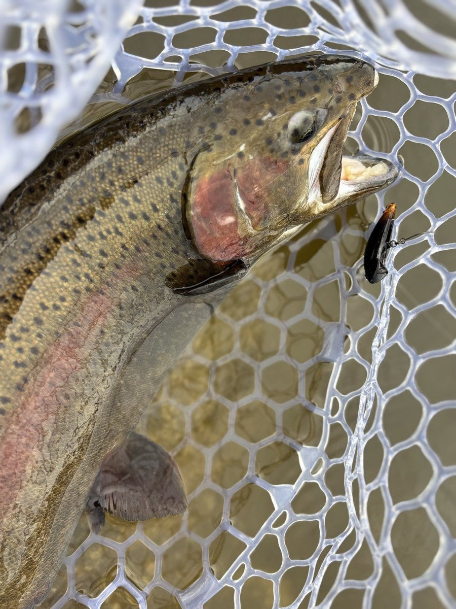 ゆうちょ tweet media