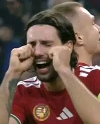  Napóleoni értelemben vett - Csád. - bölény  tweet media