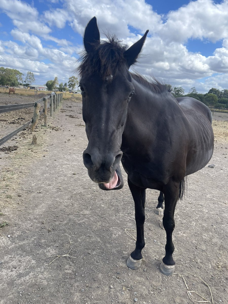 tilly ⋆˚꩜｡ tweet media