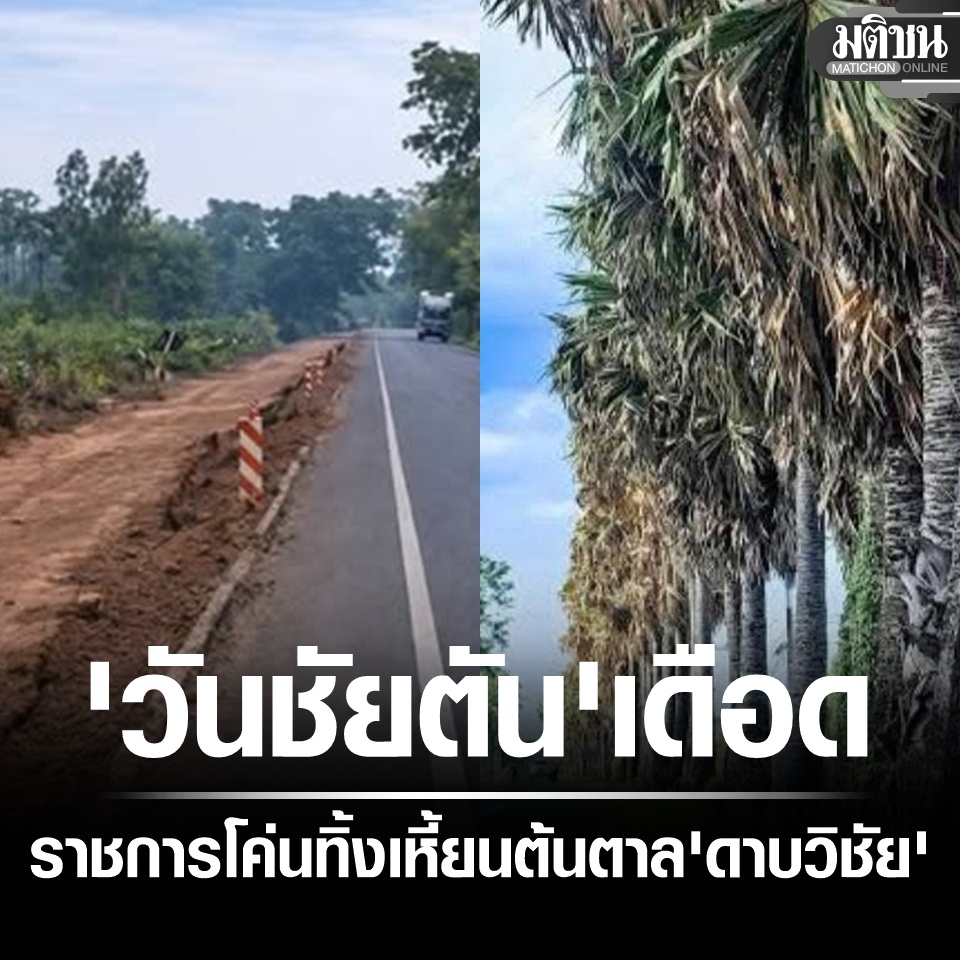 Matichon Online tweet media