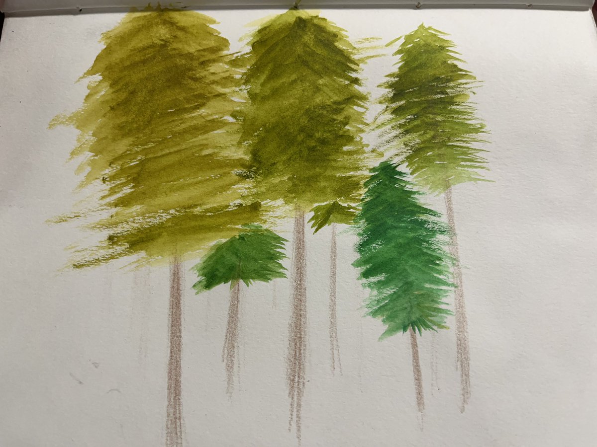 Otatsuke Tsuda tweet media