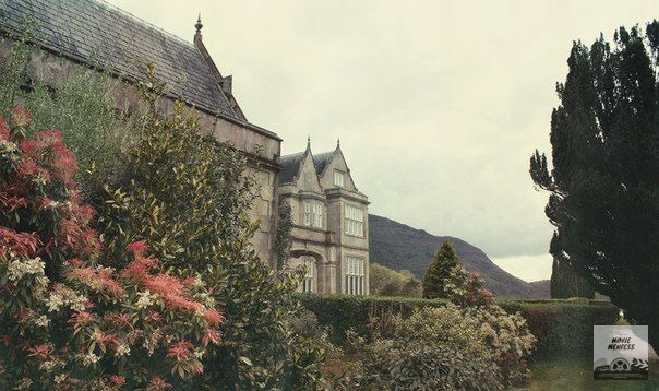 CHECK PINNED - mupi tweet media