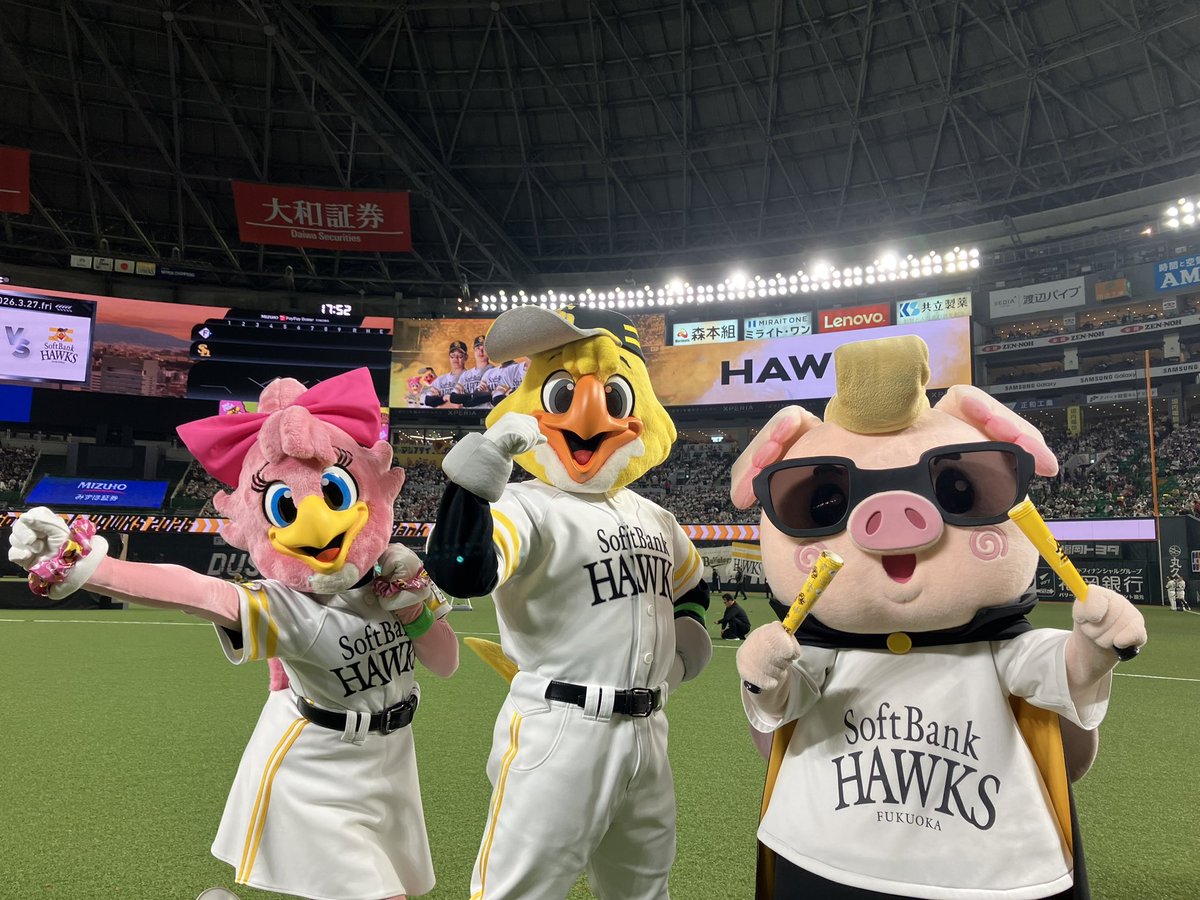 ハリーホーク(公式) tweet media