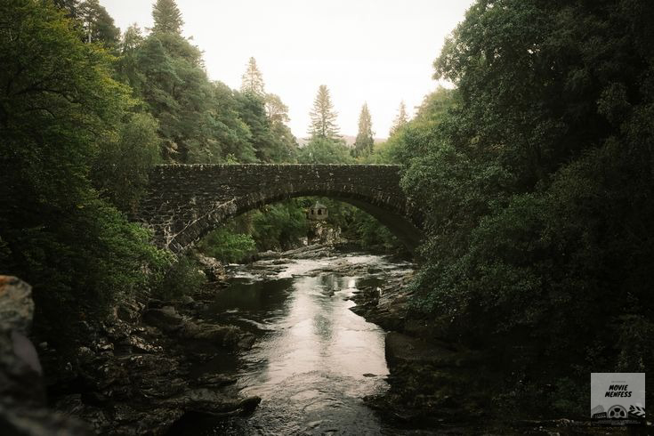 CHECK PINNED - mupi tweet media