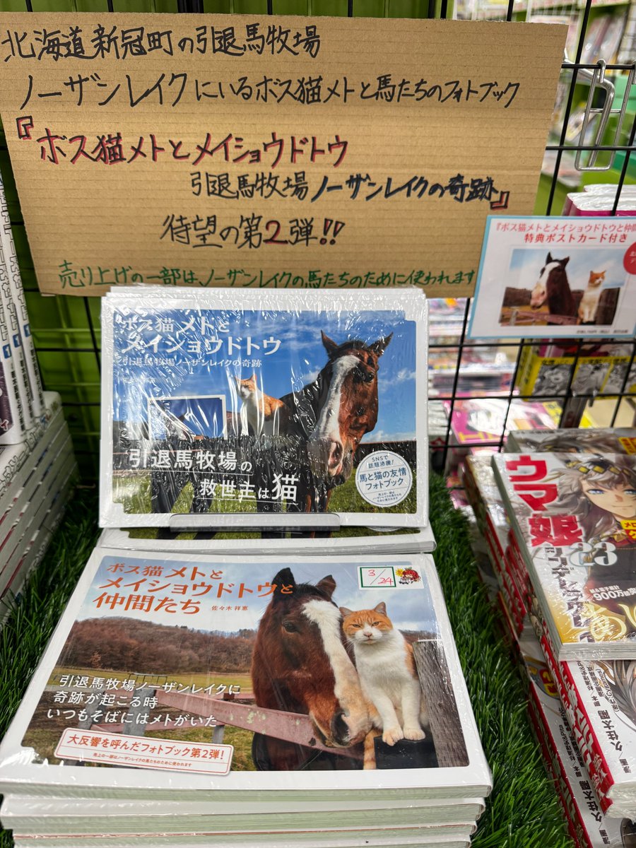 メロンブックス@札幌店2 tweet media