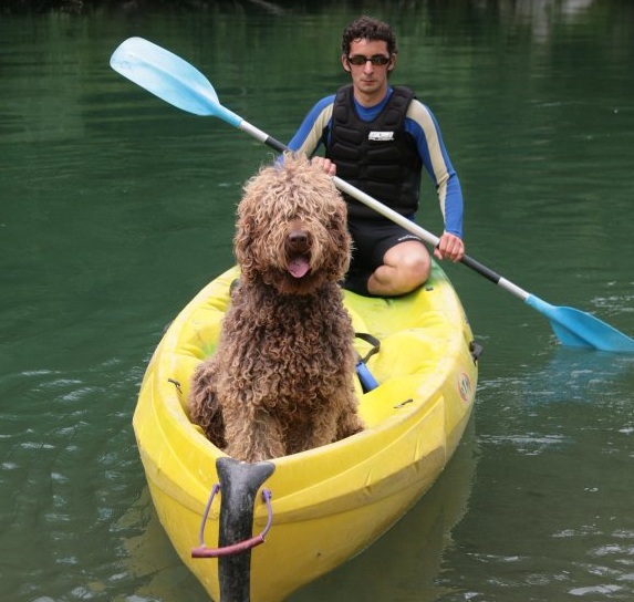 Confiamos que no has abandonado a tu “fiel amigo” antes o durante las vacaciones de #SemanSanta y que te acompaña en tus celebraciones ¿verdad?

Queremos ver esa foto de algunas vacaciones ya pasadas con 🐕🐈