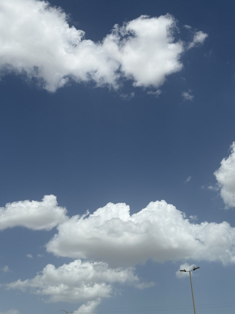 محمد tweet media