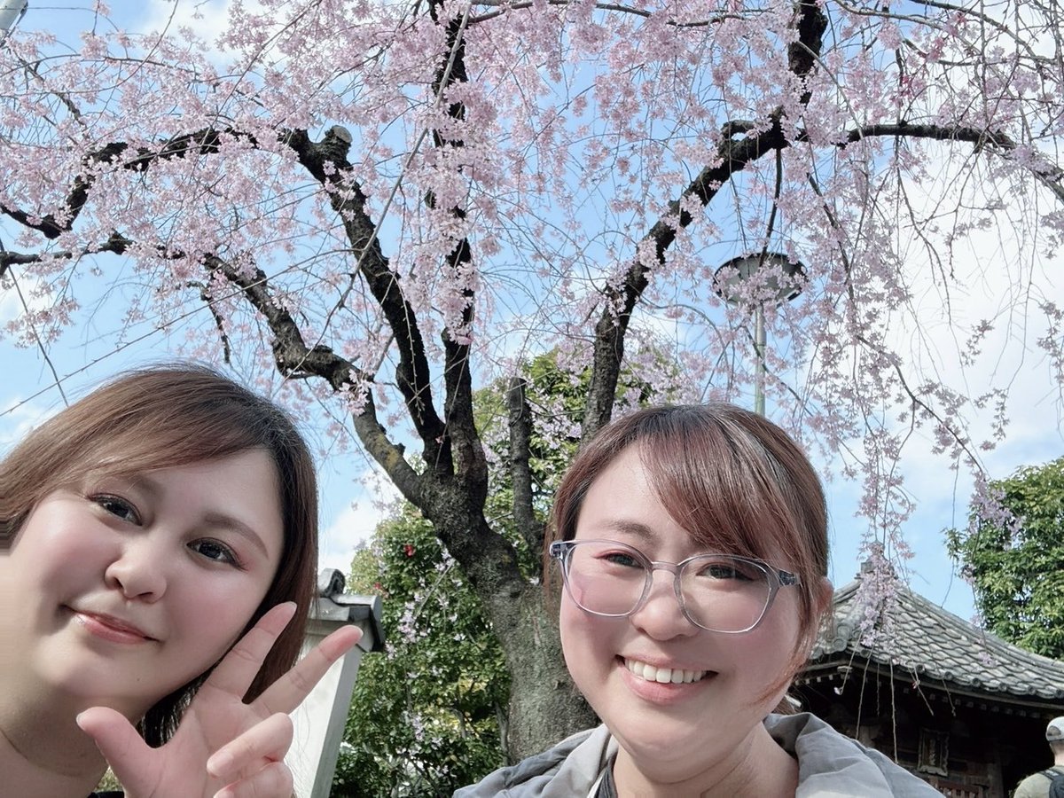 高木悠圭 はるけ🥁DrumVocal tweet media