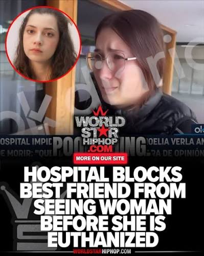 Dr From Long Island USA (M.D) tweet media