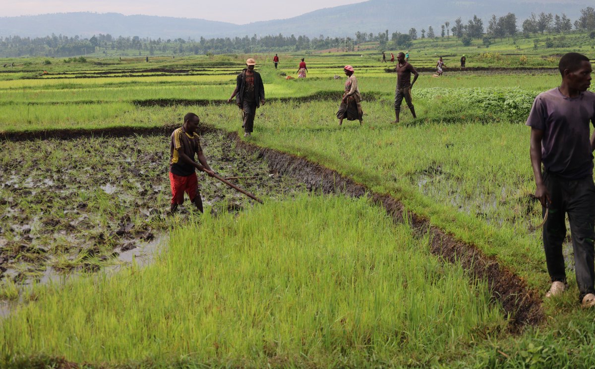 SOUND OF AFRICA tweet media