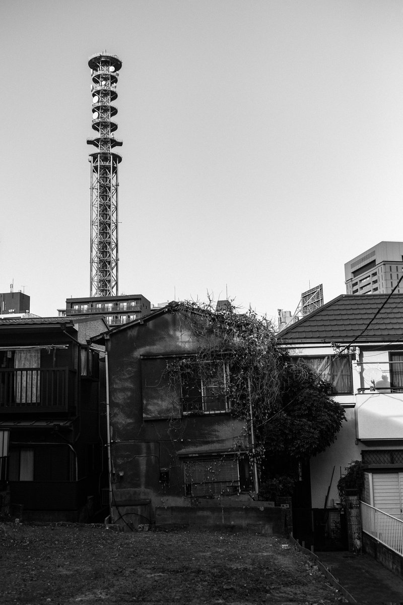 路地とタテモノ tweet media