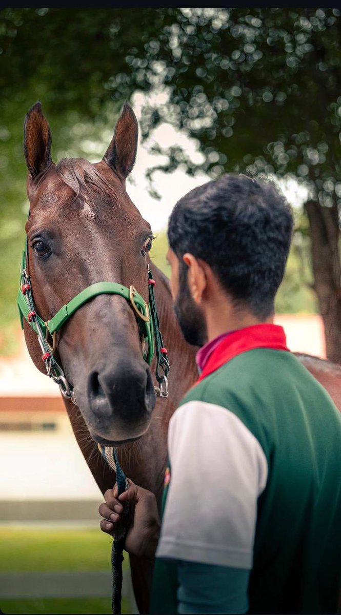 🇦🇪 tweet media