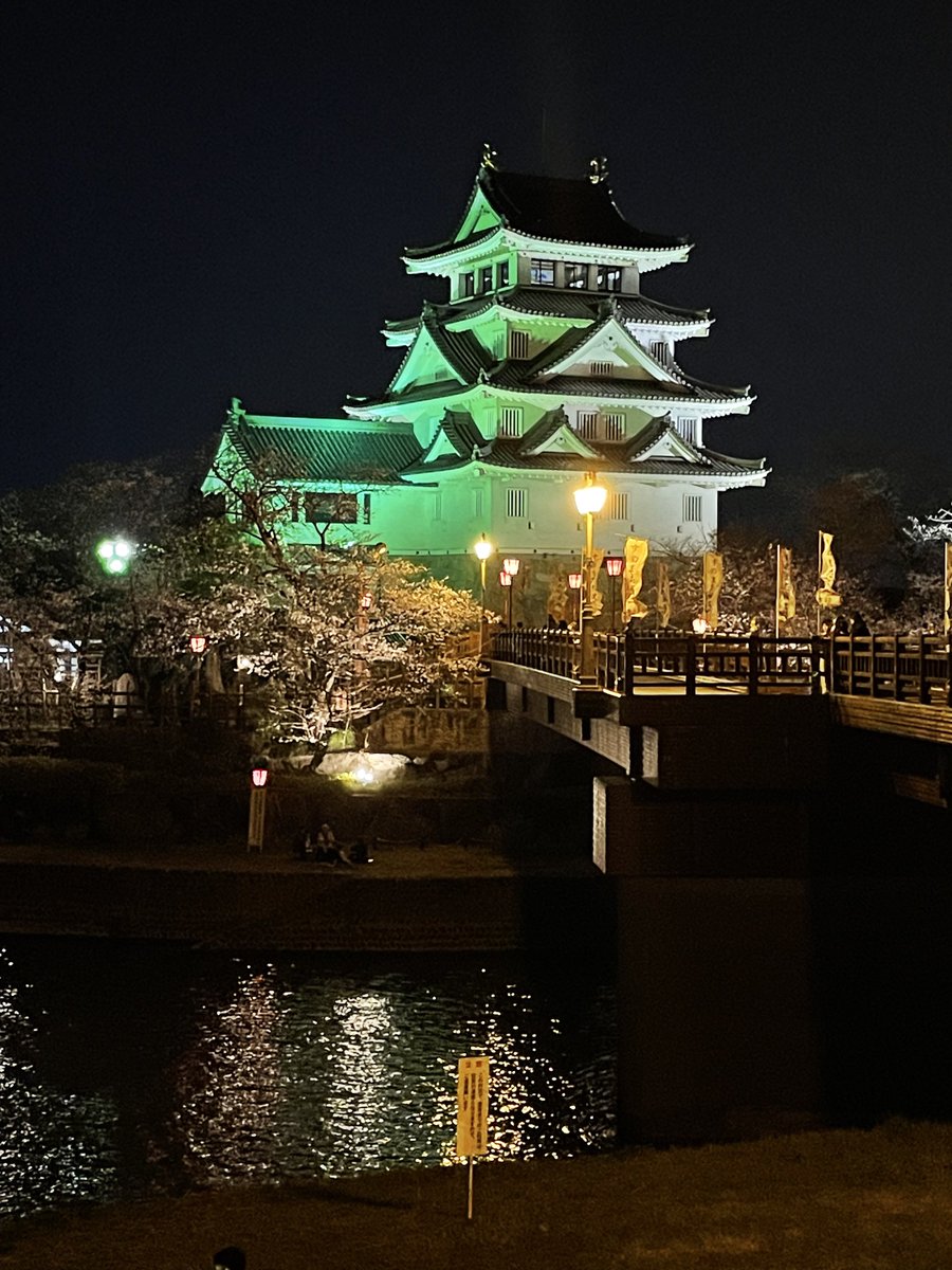 Wangdora tweet media