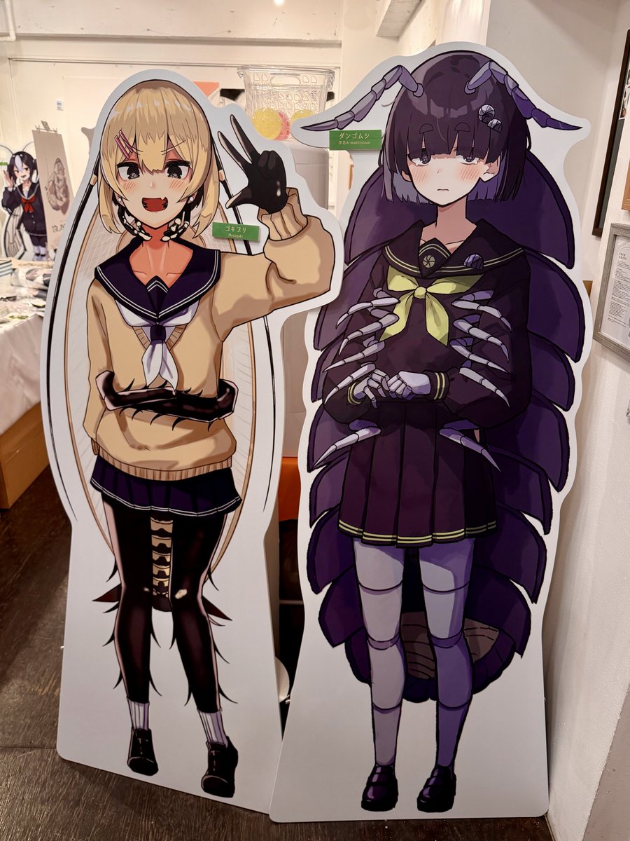 熊野プラン🐻個展3/24~3/31 tweet media