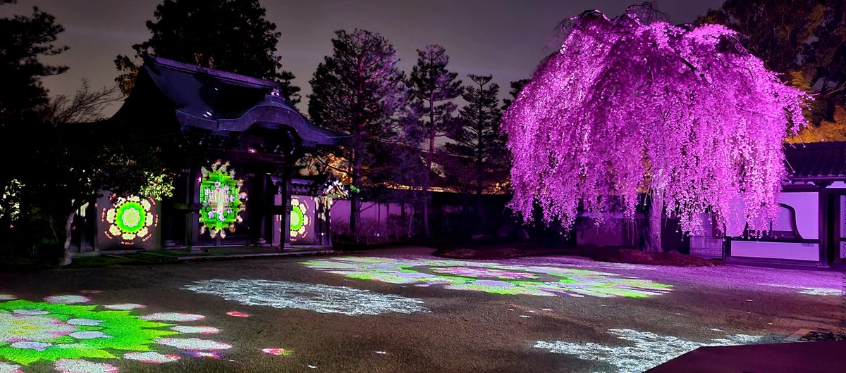 様式美🐰投資メタラー tweet media