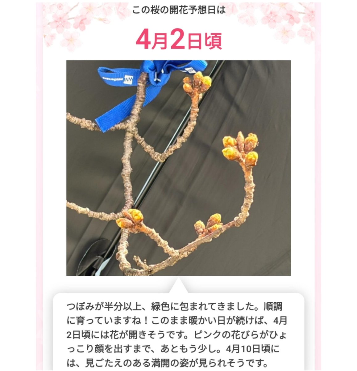 🍛hideji🥄@ハッピーきくらげパラダイス tweet media